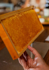 Honey experience a Regaleali