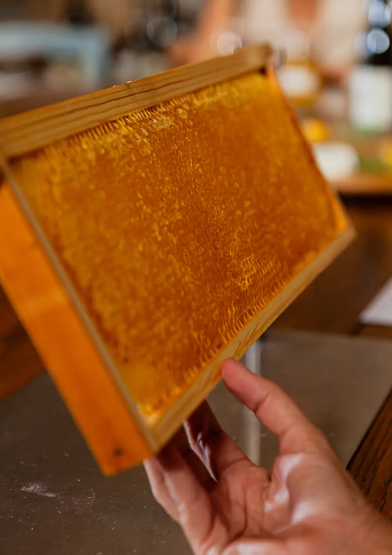 Honey experience a Regaleali
