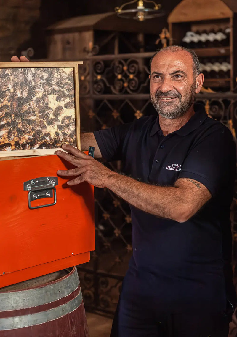 Honey experience a Regaleali