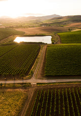 La Sicilia raccontata dai vini Tasca d'Almerita a Sallier de La Tour