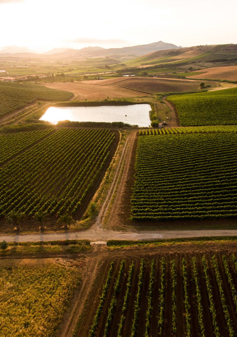 Sicily and Tasca d’Almerita wines at Sallier de La Tour