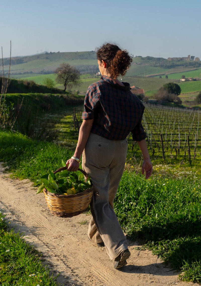 Sicily and Tasca d’Almerita wines at Sallier de La Tour