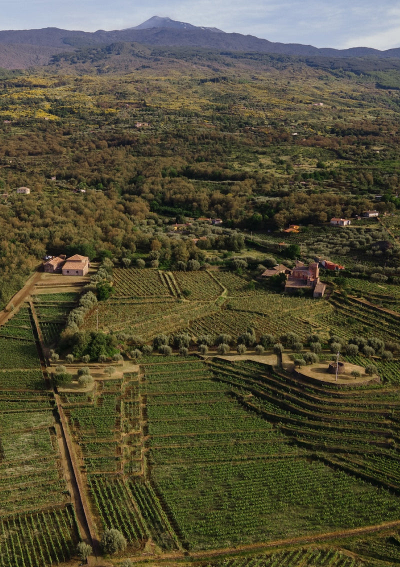 Alla scoperta di Tascante