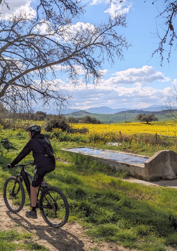 E-Bike Tour & Tasting at Regaleali