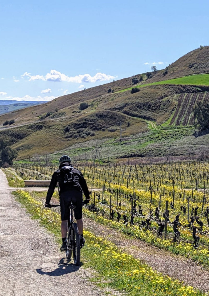 E-Bike Tour & Tasting at Regaleali