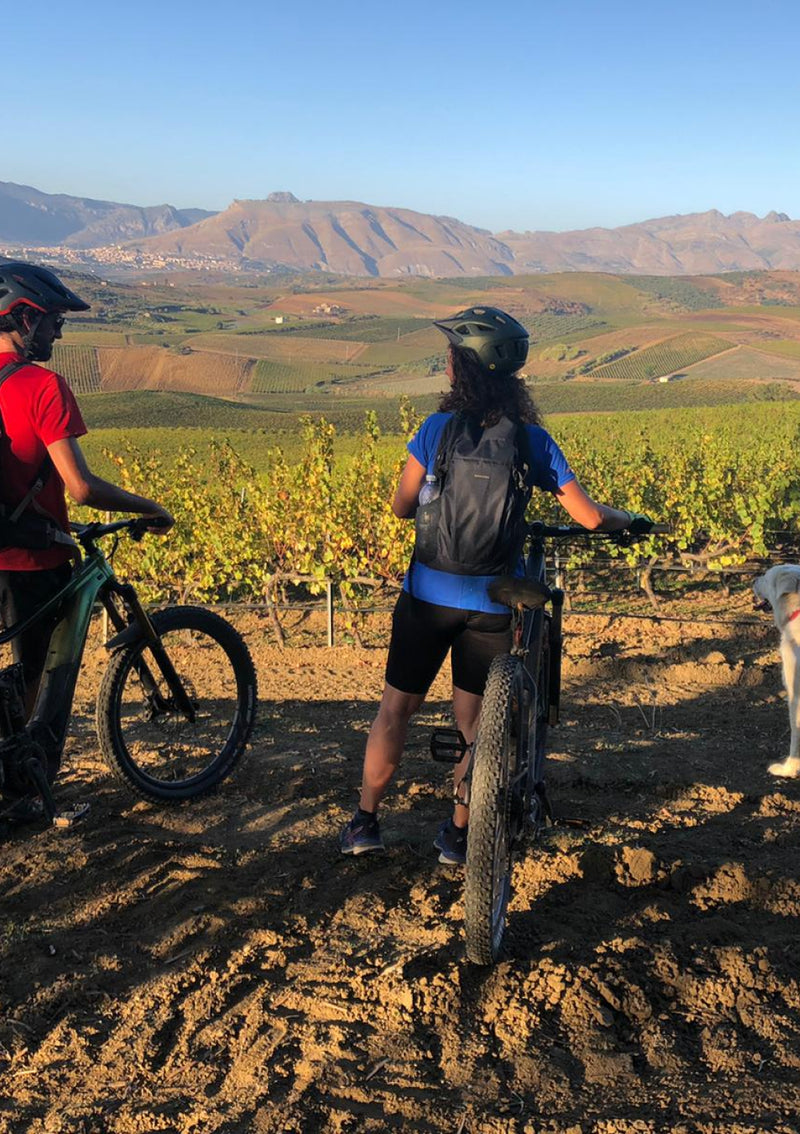 E-Bike Tour & Tasting at Sallier de La Tour