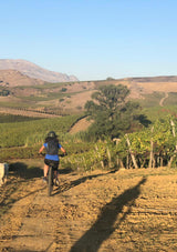 E-Bike Tour & Tasting at Sallier de La Tour