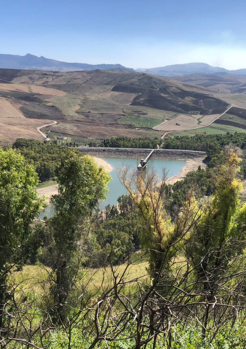 E-Bike Tour & Tasting at Sallier de La Tour