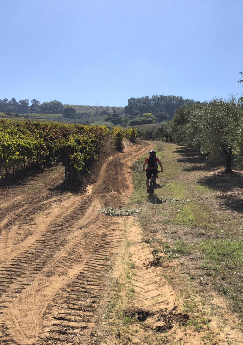 E-Bike Tour & Tasting at Sallier de La Tour