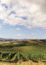 La Sicilia raccontata dai vini Tasca d'Almerita a Regaleali