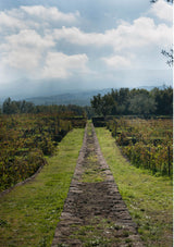 Le Contrade di Tenuta Tascante