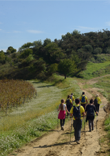 Trekking tra le vigne e lunch con degustazione a Tenuta Regaleali